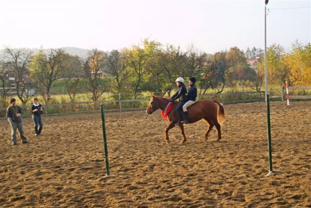 Hubertus 2009